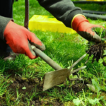 Betametacron: Your Go-To Solution for Broadleaf Weed Control